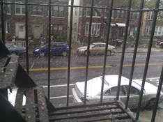 Tremenda nevada que cayó aquí en Brooklyn... y en Octubre!